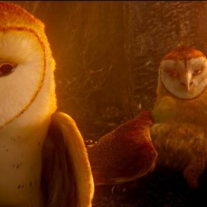 Still of Ryan Kwanten and Jim Sturgess in Legend of the Guardians: The Owls of Ga'Hoole (2010)