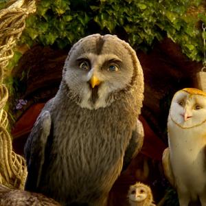 Still of Jim Sturgess David Wenham and Emily Barclay in Legend of the Guardians The Owls of GaHoole 2010