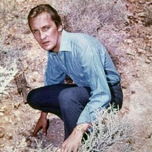 The Invaders Roy Thinnes