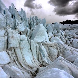 Fight to Survive Matanuska Glacier Alaska 2014