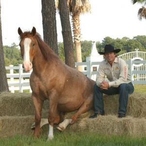 Liberty Horse Ranch