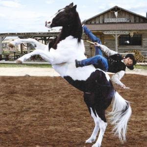 Tommie Turvey performing a horse stunt with his Paint horse Joker