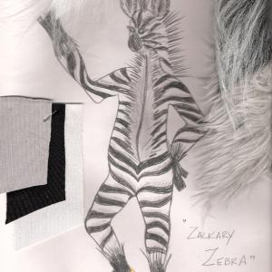 Zachary the Zebra for Kid Fitness PBS Childrens Network Directed by Stephen Feldman