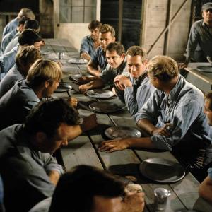 Still of Paul Newman George Kennedy Harry Dean Stanton Anthony Zerbe JD Cannon Richard Davalos Norman Goodwins and Ralph Waite in Cool Hand Luke 1967