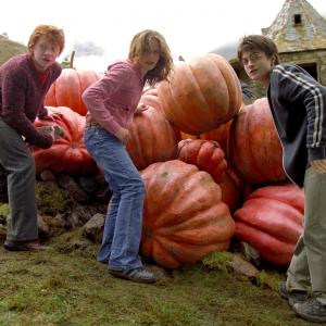 Still of Rupert Grint Daniel Radcliffe and Emma Watson in Haris Poteris ir Azkabano kalinys 2004