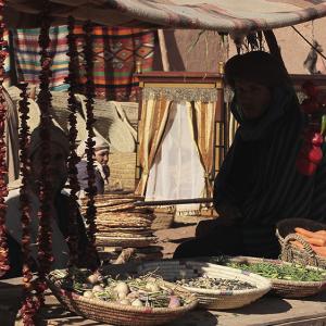 The Red Tent  Market