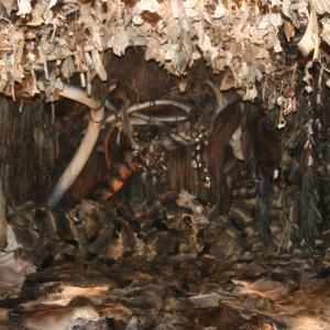 Old Mothers Hut Interior 10 000 BC