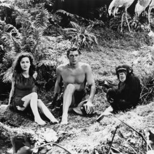 Tarzan Maureen OSullivan Cheetah Johnny Weissmuller circa 1930s