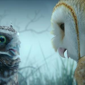 Still of Jim Sturgess and David Wenham in Legend of the Guardians: The Owls of Ga'Hoole (2010)