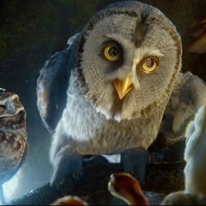 Still of Miriam Margolyes, Jim Sturgess and David Wenham in Legend of the Guardians: The Owls of Ga'Hoole (2010)