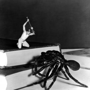 Still of Grant Williams in The Incredible Shrinking Man 1957
