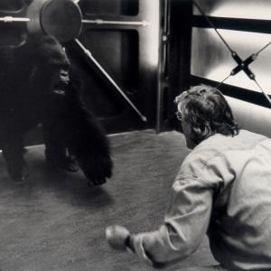 As the Gorilla with Director Paul Verhoeven  Hollow Man