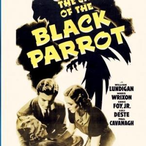 William Lundigan and Maris Wrixon in The Case of the Black Parrot (1941)