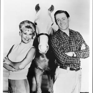 Still of Connie Hines and Alan Young in Mister Ed 1958