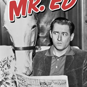 Alan Young and Mister Ed in Mister Ed 1958