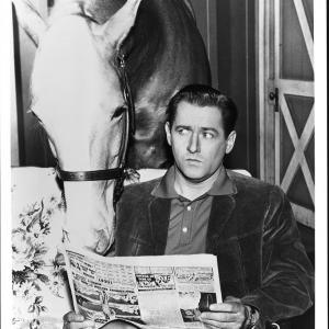 Still of Alan Young in Mister Ed 1958