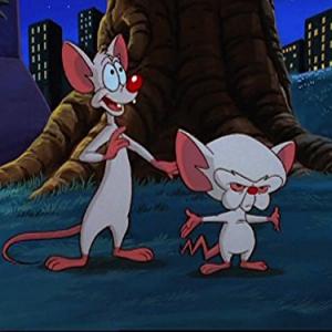 Still of Maurice LaMarche and Rob Paulsen in Pinky and the Brain (1995)