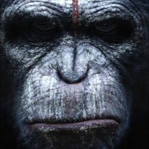 Terry Notary plays Rocket in Dawn of the Planet of the Apes.