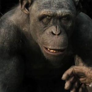 Terry Notary plays Rocket in Rise of the Planet of the Apes