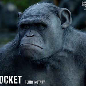 Terry Notary as 'Rocket' in 'Dawn of the Planet of the Apes'.