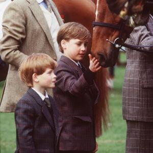 Prince Harry Windsor and Prince William Windsor