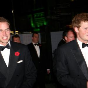 Prince Harry Windsor and Prince William Windsor at event of Paguodos kvantas 2008