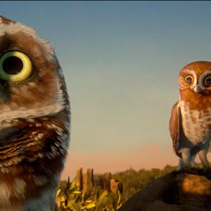 Still of David Wenham and Emily Barclay in Legend of the Guardians: The Owls of Ga'Hoole (2010)