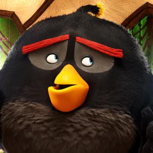 Still of Danny McBride in The Angry Birds Movie (2016)