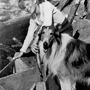 Gary Gray with Lassie