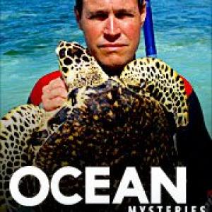 Ocean Mysteries with Jeff Corwin for ABC Director and Showrunner Jude Gerard Prest 20 episodes