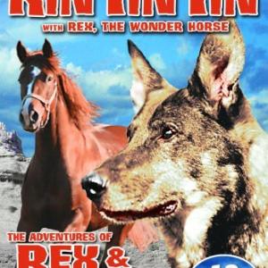 Rin Tin Tin Jr and Rex in The Adventures of Rex and Rinty 1935