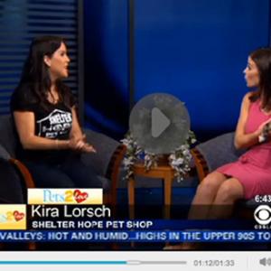 Kira Lorsch is the Shelter Hope Pet Shop Pets 2 Love Lady for CBS LA