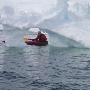 Looking for wildlife in Antarctica