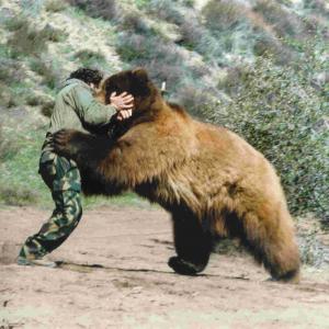 Full Contact with BARNEY BEAR Kodiak Grizzly!