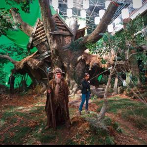 The Hobbit: An Unexpected Journey - Radagast Stunt Double