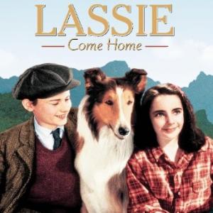 Elizabeth Taylor Roddy McDowall and Pal in Lassie Come Home 1943