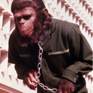 Still of Roddy McDowall in Conquest of the Planet of the Apes (1972)