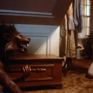 Still of Roddy McDowall in Fright Night (1985)