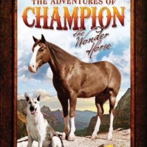 Champion and Blaze in The Adventures of Champion 1955