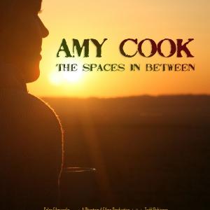 Amy Cook The Spaces in Between