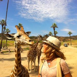 In Giraffe Heaven!!! Filming @The San Diego Safari Park