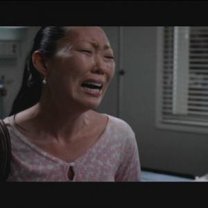 Greys Anatomy  Sanctuary  Season 6 Finale