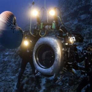 Still of Peter Kragh in Under the Sea 3D (2009)