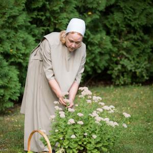 Amish woman gardening