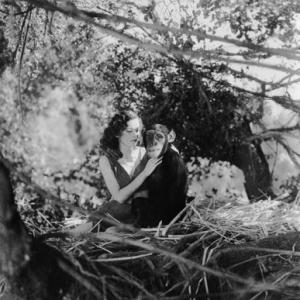 Tarzan the Ape Man Maureen OSullivan Cheetah 1932 MGM