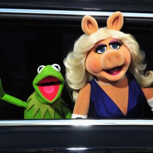 Kermit the Frog and Miss Piggy at event of Muppets Most Wanted 2014