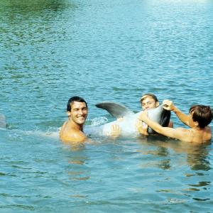 Still of Luke Halpin, Brian Kelly, Tommy Norden and Flipper in Flipper (1964)