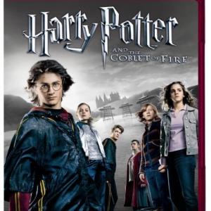 Rupert Grint, Daniel Radcliffe, Emma Watson, Clémence Poésy, Robert Pattinson and Stanislav Ianevski in Haris Poteris ir ugnies taure (2005)