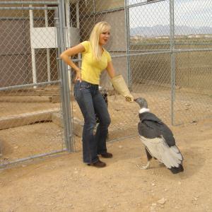 Host Stacey Hayes behind the scenes on set of BIRD TALK with an Andean Condon