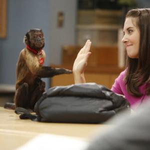 Still of Alison Brie and Crystal the Monkey in Community 2009
